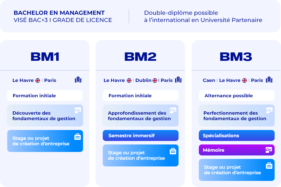 Schéma résumé - Bachelor en Management