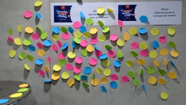 Mur du stress