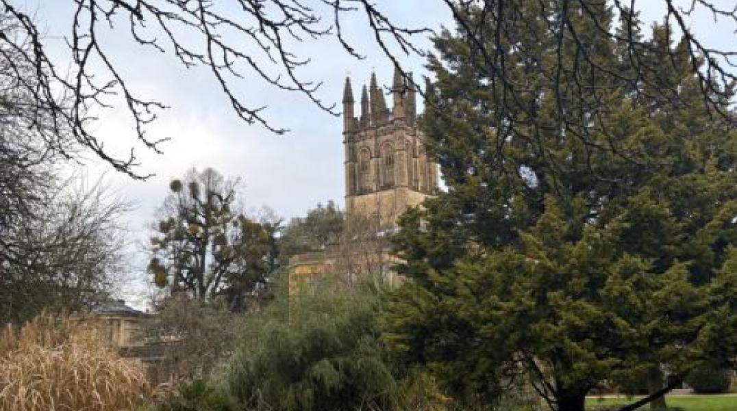 Botanic Garden view