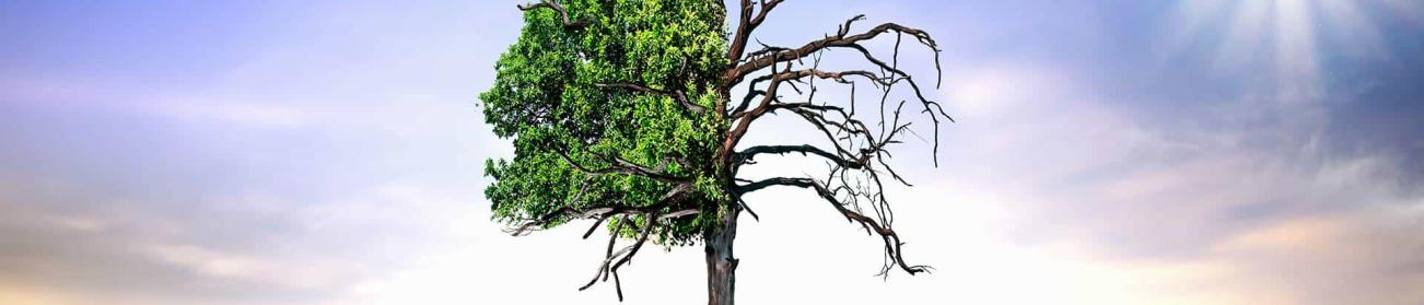 urgence climatique urgence climatique