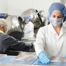 MS Marketing, Communication et Ingénierie des produits Agro