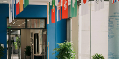 Expérience Internationale