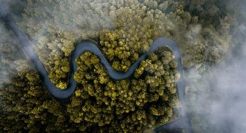 The Sulitest Movement scales up and raises €1.5 million