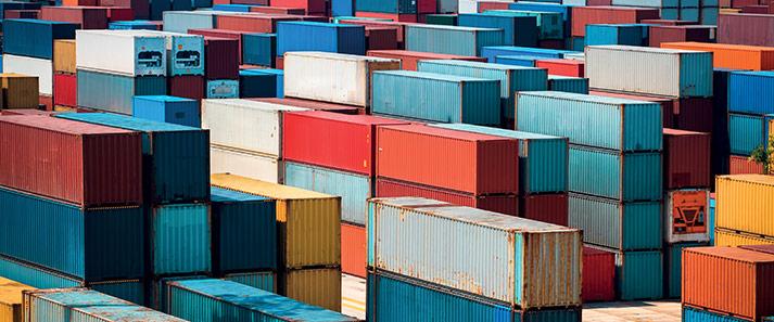 MS MSc Logistique